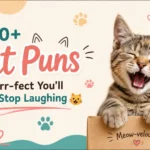 350+ Flower Puns That Will Make Everyone Bloom With Laughter 
