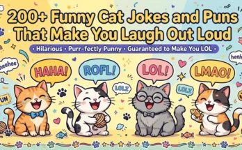 200+ Funny Cat Jokes and Puns That Make You Laugh Out Loud